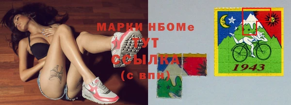 сатива Армянск