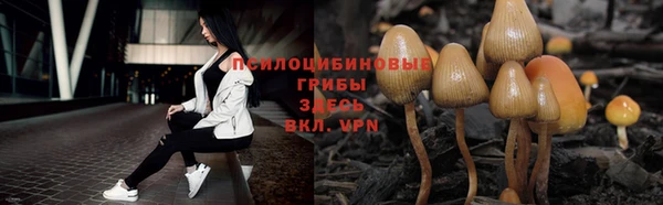 spice Аркадак