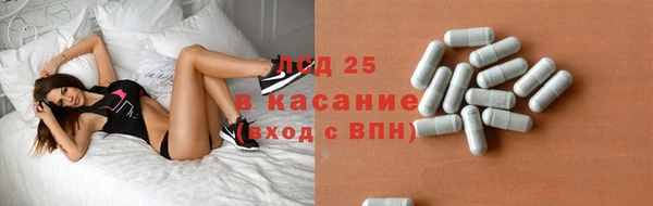 сатива Армянск
