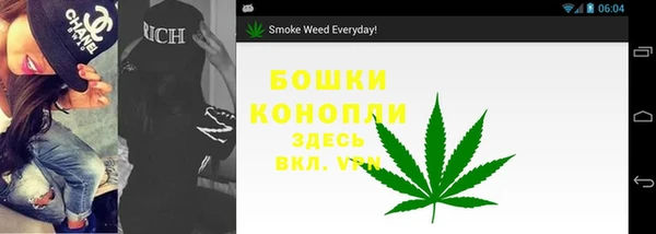 прущие крисы Арсеньев