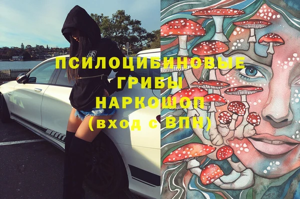 сатива Армянск