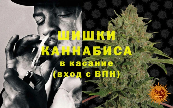 spice Аркадак