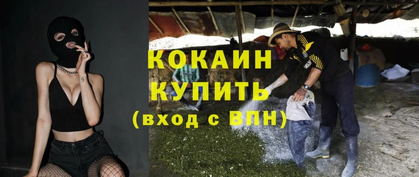 сатива Армянск