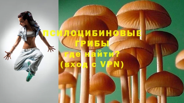 spice Аркадак