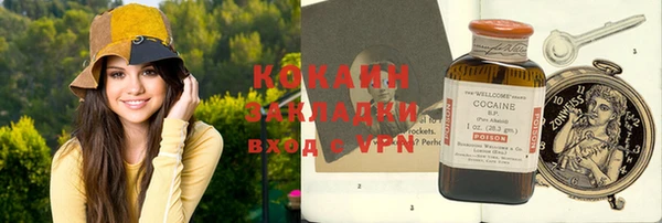 молекула духа Покров