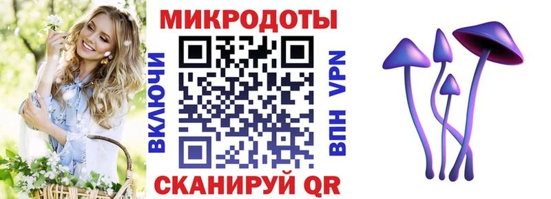 сколько стоит  Протвино  Псилоцибиновые грибы MAGIC MUSHROOMS 